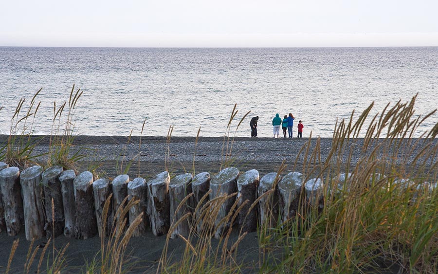 More People Watching for Whales  